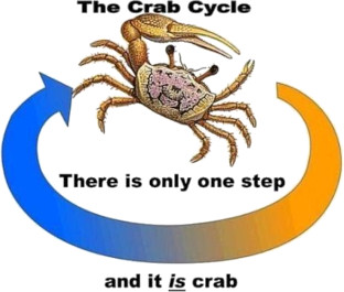 crab.jpg