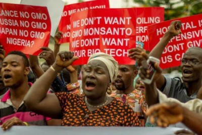 A honest protest in Nigeria? &quot;We Do Not Want Your Bio Tech&quot;